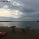 제주도 살기.한달살기.추천코스.안덕면 하나로마트 화순금모래해변