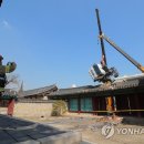 동삼 이미지