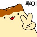 찡보네징어 이미지