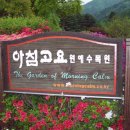 삼육청과