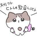 무학산옛날왕손짜장 이미지