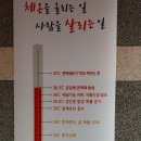 바이오포톤 이미지