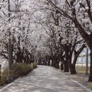 청산노래방 이미지