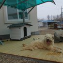 성일농원 이미지