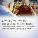 만하 이미지