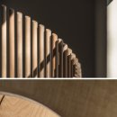 MODERN CAT 이미지