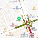 바바플레르 이미지