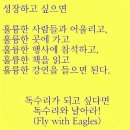 브랜드케이 이미지