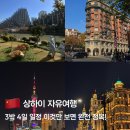 대호할인마트 - 관악구 관악로24길 14 | 상하이 3박 4일 자유여행 코스 추천｜맛집·야경·쇼핑까지 완벽했던 일정 총정리