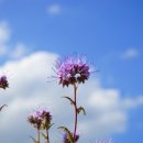 해람한의원 이미지