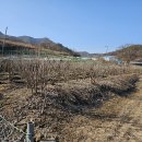이고유 Daum카페