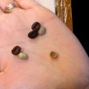 바리스타 2급 자격과정(청년) 이미지