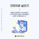 주안서울치과 네이버블로그