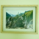 양평 랏지하우스 애견동반펜션 이미지