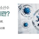 클린파인더 이미지