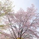 이매교 이미지