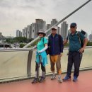 서리풀길 9 이미지