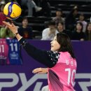 김연경 카카오 검색결과