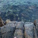 포항시북구47 | 경북 포항 오션뷰 숙소 “씨엔스톤펜션” 내돈내산 솔직후기