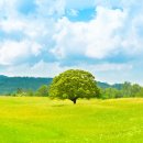 대산북로 이미지