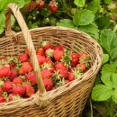 양수농장 이미지