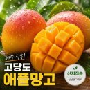 애플망고 - 진주시 진산로 263 | 애플망고