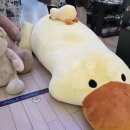 마일드무무 | 마일드무무 팝업, 인형 잠실 월드타워 후기
