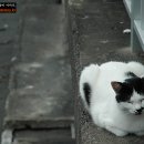미소식빵 이미지