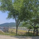 달성보 녹색길 이미지