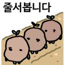 낭만과순정 이미지