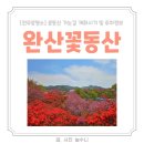 동완산마트 | 전주꽃동산 완산칠봉꽃동산 개화시기 상황 주차정보