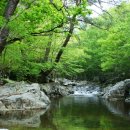 [서울] 5월5일(화) 남한산성 산성일주, 탑공원 계곡 이미지