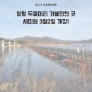 농서동 428, 농서동 임시공영주차장 앞 | 두물머리 세미원 내일부터 개장! 양평가볼만한곳 주차꿀팁 포토존까지!