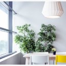 우리집 명당으로 꾸미기 이미지