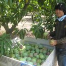 빈이농장 이미지