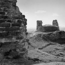 수원-1950 이미지