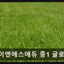 케이엔에스에듀 - 강남구 도곡로 517 | 케이엔에스에듀
