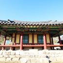 금강초계 Daum카페