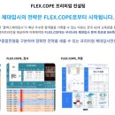 SS컨설팅 이미지