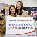 (주)케이티스카이라이프 이미지