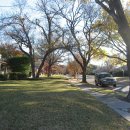 미국 남부도시 텍사스주 달라스시 집들과 거리 사진 이미지