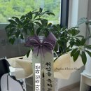안흥면사무소 네이버블로그