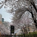 일야커피 이미지