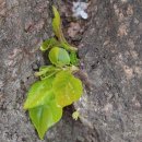 만경강길 4코스 이미지