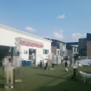 썸바디독스 이미지