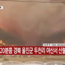 울진비닐 이미지