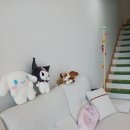 리오다 풀빌라 | 경북 경주 풀빌라 펜션 리오야놀자키즈풀빌라 후기