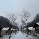 곤지암팀업캠퍼스 | [곤지암글램핑] 팀업캠퍼스 더포레스트 캠핑장 캐빈 내돈내산 후기