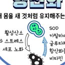 세인약국 네이버블로그