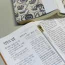 독서를 통한 행복 찾기 이미지